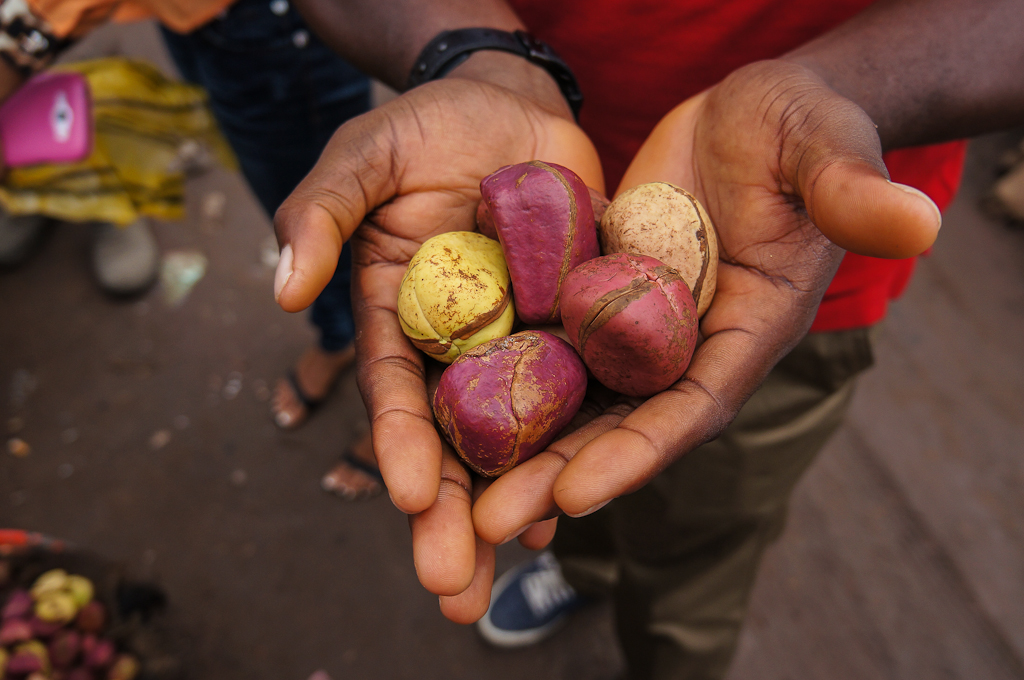 Nigerian kola nut